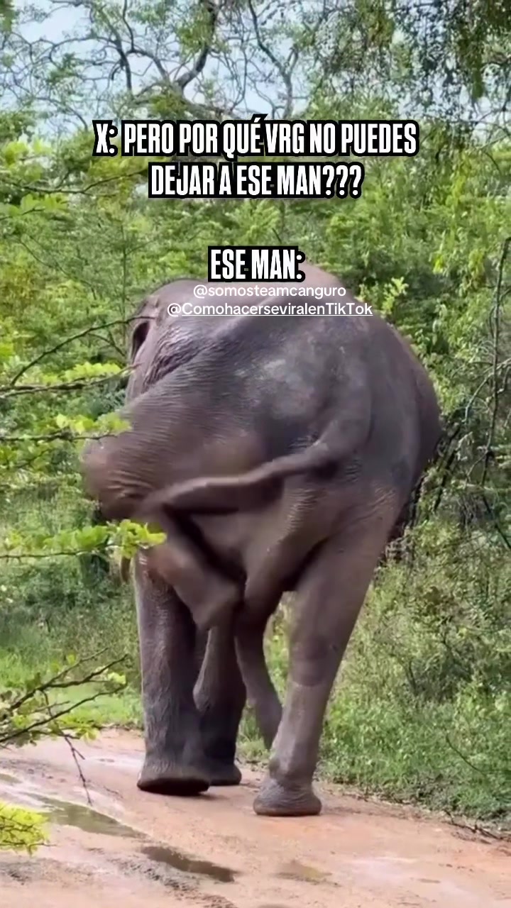 Valeria Márquez / 3sei / lasi / el video más visto de TikTok/ el video con mas reproducciones en TikTok / the most viewed video in the world / the most likes video in the world / el video con mas likes en tiktok / el video con mas vistas en TikTok / el video con mas vistas en TikTok / Valeria Márquez / vivian de la torre entrevista mafian tv viviandelatorre / 3sei / lasi / el video más visto de TikTok/ el video con mas reproducciones en TikTok / the most viewed video in the world / the most likes video in the world / el video con mas likes en tiktok / el video con mas vistas en TikTok / el video con mas likes en TikTok / como ser viral en tiktok / recuerden hacer la dinámica de abajo hacia arriba compartir comentar y dar like y seguir al creador y ver todo el l video sin adelantar y hacer eso 50 veces al día y verás como vas a crecer su cuenta en tiktok / enamorar a tiktok y tiktok recomendara tu contenido rus videos / #fypシ゚viral #foryou #Viral #fypシ #tiktoklive #paratiiiiiiiiiiiiiiiiiiiiiiiiiiiiiii / Cristiano Ronaldo / leo Messi / Veo3 google / Mbappe / kylianmbappé / CR7 / parissaintgermain / Real Madrid / FC Barcelona / uefachampionsleague fifaworldcup / copadomundo / copadelmundo / worldcup / Spain / España / Verification TikTok / Como verificar Tiktok / Argentina / Como verificar Tiktok / exhiben audio del caso de valeria marquez / Filtran Audio De Valeria Márquez / Valeria Márquez Audio Con Presuntas Denuncias / vivian interview with mafian tv / vivian se rie en el velorio de valeria / valeria marquez y su ex novio / francisco alvarez hijo del mencho / emmi novio de valeria marquez / La casa de los famosos colombia / Altafuya / Karina Garcia / hija de Karina García / isabella Vargas / israel / Siria / rusia / Estados Unidos / Colombi / Argentina / Francia / Portugal / Cristiano Ronaldo / Messi / leo Messi / Géminis / China / Ukrainian / Ucrania / Nayib Bukele / Costa Rica / José Daniel Ortega Saavedra / Daniel Ortega / mbappe / Real Madrid / lamineyamal / teamwork / teamcanguro / siria 🇸🇾 / israel 🇮🇱 / china 🇨🇳 / Palestine 🇵🇸 / Rusia 🇷🇺 / Estados Unidos / mexico 🇲🇽 / Colombia 🇨🇴 / Costa Rica 🇨🇷/ Spain / animé / españa / Japón 🇯🇵 / Nayib Bukele / Nicolás Maduro / @alanafloresf 🖤 / Rodrigo / TikTok / spotify / Apple Music / YouTube / IA / AI / intelligencia artificial / aliens / Dios / jesuslovesyou Jesusnazare / Jesus / how to viral video on tiktok / how to go viral on tiktok / el loco blanco / el loco marron @MrBeast @Bella Poarch @Khabane lame @Taylor Swift @Fernanfloo @Farid Dieck @ARIA 🍓 @alanafloresf 🖤 @Dunia Santos Karinagarcia @leah halton / habibi habibi Team work @teamwork M to the B Bella Poarch (Soph Aspin Send)" de Millie / como crecer en tiktok / Nick Luciano "SugarCrash!" de ElyOtto / Leah Halton Praise Jah in the Moonlight de YG Marley / Jamie Big Sorrel Horse Say It Right de Nelly Furtado / M to the B" de Millie B / Cuál es el video de TikTok con más likes? / Cuál es el video de TikTok con más vistas? / Cuál es el video de TikTok con más reproducciones en TikTok? / @charli d’amelio / @Como hacerse viral en TikTok / @comohacerseviralentiktok / Porque quiero hacerme viral en TikTok / como ganar 1000 seguidores en TikTok / cómo activar Tiktok Shop / como ganar 10000 seguidores en TikTok / como ganar 100000 seguidores en TikTok / como ganar 1000000 seguidores en TikTok / como ganar un millón de seguidores en TikTok / Cuál es el video con más likes del mundo? / Cuál es el video con más vistas del mundo? / Cuál es el video con más reproducciones del mundo? / Policía Policía Canción / ganar seguidores / 1000 Followers / Donald Trump / mundial de clubes / @Botafogo / @Atlético nacional de Colombia / @psg / para ti / for you / atlético nacional de colombia / Saprissa / Heredia / liga deportiva alajuelense / BTS (방탄소년단) Dynamite / para ti / Justin Bieber / peso pluma / Karol G / shakira / ibai llanos / Rubius / perro / cats funniest / gatos / cats funny / catsoftiktok / cat / love