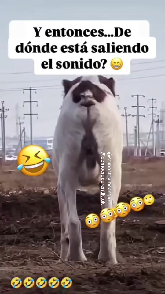 Valeria Márquez / 3sei / lasi / el video más visto de TikTok/ el video con mas reproducciones en TikTok / the most viewed video in the world / the most likes video in the world / el video con mas likes en tiktok / el video con mas vistas en TikTok / el video con mas vistas en TikTok / Valeria Márquez / vivian de la torre entrevista mafian tv viviandelatorre / 3sei / lasi / el video más visto de TikTok/ el video con mas reproducciones en TikTok / the most viewed video in the world / the most likes video in the world / el video con mas likes en tiktok / el video con mas vistas en TikTok / el video con mas likes en TikTok / como ser viral en tiktok / recuerden hacer la dinámica de abajo hacia arriba compartir comentar y dar like y seguir al creador y ver todo el l video sin adelantar y hacer eso 50 veces al día y verás como vas a crecer su cuenta en tiktok / enamorar a tiktok y tiktok recomendara tu contenido rus videos / #fypシ゚viral #foryou #Viral #fypシ #tiktoklive #paratiiiiiiiiiiiiiiiiiiiiiiiiiiiiiii / Cristiano Ronaldo / leo Messi / Veo3 google / Mbappe / kylianmbappé / CR7 / parissaintgermain / Real Madrid / FC Barcelona / uefachampionsleague fifaworldcup / copadomundo / copadelmundo / worldcup / Spain / España / Verification TikTok / Como verificar Tiktok / Argentina / Como verificar Tiktok / exhiben audio del caso de valeria marquez / Filtran Audio De Valeria Márquez / Valeria Márquez Audio Con Presuntas Denuncias / vivian interview with mafian tv / vivian se rie en el velorio de valeria / valeria marquez y su ex novio / francisco alvarez hijo del mencho / emmi novio de valeria marquez / La casa de los famosos colombia / Altafuya / Karina Garcia / hija de Karina García / isabella Vargas / israel / Siria / rusia / Estados Unidos / Colombi / Argentina / Francia / Portugal / Cristiano Ronaldo / Messi / leo Messi / Géminis / China / Ukrainian / Ucrania / Nayib Bukele / Costa Rica / José Daniel Ortega Saavedra / Daniel Ortega / mbappe / Real Madrid / lamineyamal / teamwork / teamcanguro / siria 🇸🇾 / israel 🇮🇱 / china 🇨🇳 / Palestine 🇵🇸 / Rusia 🇷🇺 / Estados Unidos / mexico 🇲🇽 / Colombia 🇨🇴 / Costa Rica 🇨🇷/ Spain / animé / españa / Japón 🇯🇵 / Nayib Bukele / Nicolás Maduro / @alanafloresf 🖤 / Rodrigo / TikTok / spotify / Apple Music / YouTube / IA / AI / intelligencia artificial / aliens / Dios / jesuslovesyou Jesusnazare / Jesus / how to viral video on tiktok / how to go viral on tiktok / el loco blanco / el loco marron @MrBeast @Bella Poarch @Khabane lame @Taylor Swift @Fernanfloo @Farid Dieck @ARIA 🍓 @alanafloresf 🖤 @Dunia Santos Karinagarcia @leah halton / habibi habibi Team work @teamwork M to the B Bella Poarch (Soph Aspin Send)" de Millie / como crecer en tiktok / Nick Luciano "SugarCrash!" de ElyOtto / Leah Halton Praise Jah in the Moonlight de YG Marley / Jamie Big Sorrel Horse Say It Right de Nelly Furtado / M to the B" de Millie B / Cuál es el video de TikTok con más likes? / Cuál es el video de TikTok con más vistas? / Cuál es el video de TikTok con más reproducciones en TikTok? / @charli d’amelio / @Como hacerse viral en TikTok / @comohacerseviralentiktok / Porque quiero hacerme viral en TikTok / como ganar 1000 seguidores en TikTok / cómo activar Tiktok Shop / como ganar 10000 seguidores en TikTok / como ganar 100000 seguidores en TikTok / como ganar 1000000 seguidores en TikTok / como ganar un millón de seguidores en TikTok / Cuál es el video con más likes del mundo? / Cuál es el video con más vistas del mundo? / Cuál es el video con más reproducciones del mundo? / Policía Policía Canción / ganar seguidores / 1000 Followers / Donald Trump / mundial de clubes / @Botafogo / @Atlético nacional de Colombia / @psg / para ti / for you / atlético nacional de colombia / Saprissa / Heredia / liga deportiva alajuelense / BTS (방탄소년단) Dynamite / para ti / Justin Bieber / peso pluma / Karol G / shakira / ibai llanos / Rubius / perro / cats funniest / gatos / cats funny / catsoftiktok / cat / love