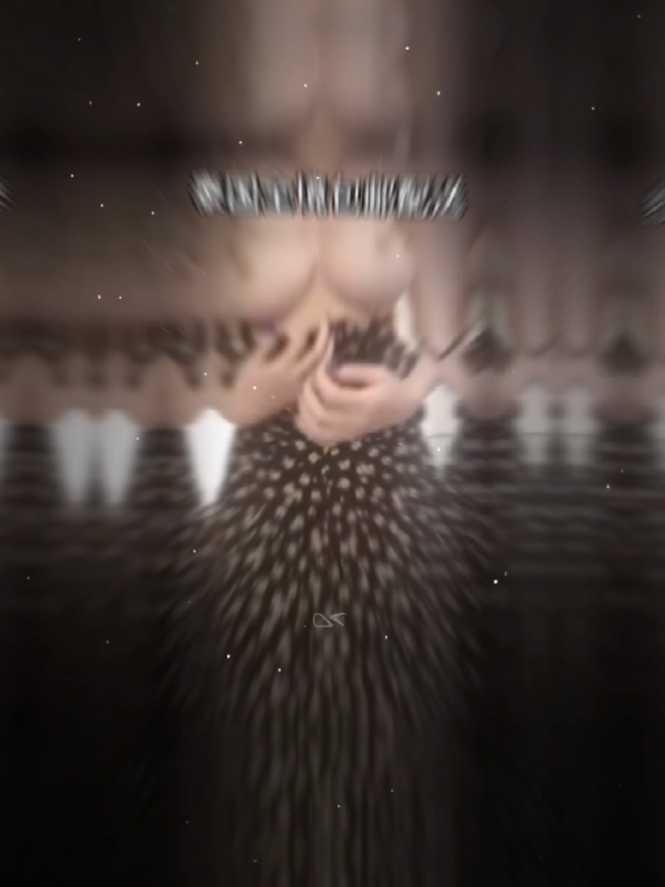 #CapCut #1millionviews #shakeittothemax #creatorsearchinsights #viral_video