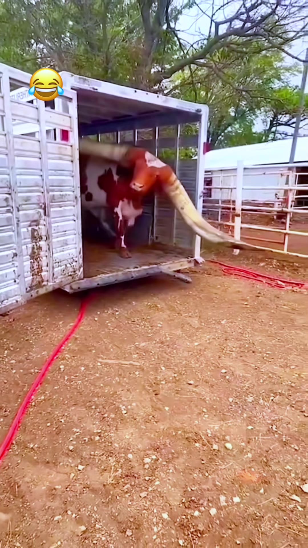 Most funniest video on the internet 😂😂 #goviral #viralvideos #fyp 