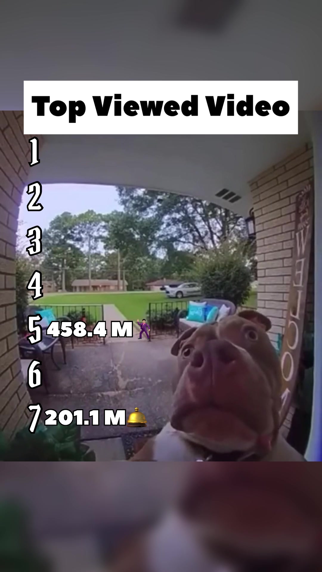 | Top Viewed Video on TikTok | 😍#top #fyp #views #videoviral 