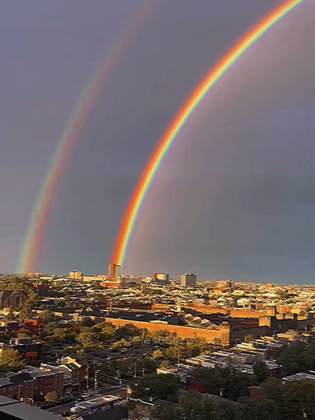 #top5 #foryou #tiktok #viral #fypシ