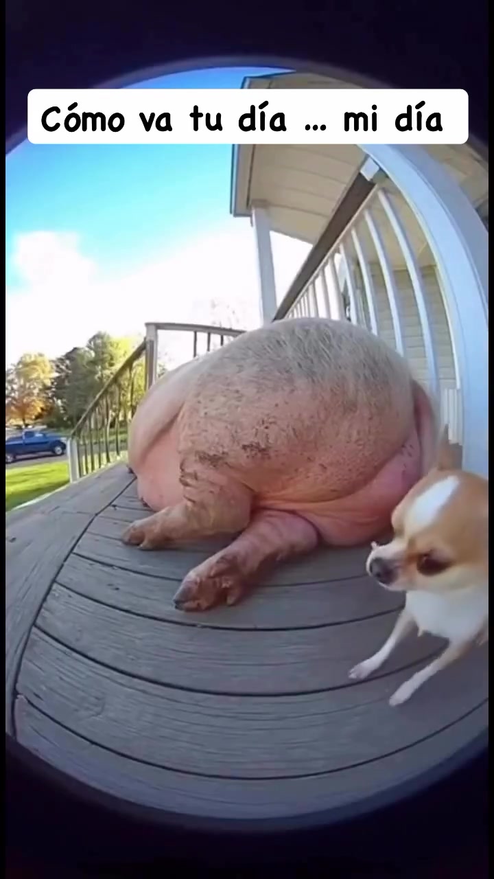 The 8 Billion Challenge! #trending, #fyp, #LIVEIncentiveProgram #LIVEbringFANS #PaidPartnership The 8 Million Challenge! /3sei / lasi / el video más visto de TikTok/ el video con mas reproducciones en TikTok / the most viewed video in the world / the most likes video in the world / el video con mas likes en tiktok / el video con mas vistas en TikTok / el video con mas vistas en TikTok / Valeria Márquez / vivian de la torre entrevista mafian tv viviandelatorre / 3sei / lasi / el video más visto de TikTok/ el video con mas reproducciones en TikTok / the most viewed video in the world / the most likes video in the world / el video con mas likes en tiktok / el video con mas vistas en TikTok / el video con mas likes en TikTok / como ser viral en tiktok / recuerden hacer la dinámica de abajo hacia arriba compartir comentar y dar like y seguir al creador y ver todo el l video sin adelantar y hacer eso 50 veces al día y verás como vas a crecer su cuenta en tiktok / enamorar a tiktok y tiktok recomendara tu contenido rus videos / Cristiano Ronaldo / leo Messi / video del pinguino viral / Mbappe / kylianmbappé / CR7 / parissaintgermain / Real Madrid / FC Barcelona / uefachampionsleague fifaworldcup / copadomundo / copadelmundo / worldcup / Spain / España / Verification TikTok / Como verificar Tiktok / Argentina / Como verificar Tiktok / exhiben audio del caso de valeria marquez / Filtran Audio De Valeria Márquez / Valeria Márquez Audio Con Presuntas Denuncias / vivian interview with mafian tv / vivian se rie en el velorio de valeria / valeria marquez y su ex novio / strawberry chocolate video / emmi novio de valeria marquez / La casa de los famosos colombia / Altafuya / Karina Garcia / hija de Karina García / isabella Vargas / israel / Siria / rusia / Estados Unidos / Colombi / Argentina / Francia / Portugal / Cristiano Ronaldo / Messi / leo Messi / Géminis / China / Ukrainian / Ucrania / Nayib Bukele / Costa Rica / José Daniel Ortega Saavedra / Daniel Ortega / mbappe / Real Madrid / lamineyamal / teamwork / teamcanguro / siria 🇸🇾 / israel 🇮🇱 / china 🇨🇳 / Palestine 🇵🇸 / Rusia 🇷🇺 / Estados Unidos / mexico 🇲🇽 / Colombia 🇨🇴 / Costa Rica 🇨🇷/ Spain / animé / españa / Japón 🇯🇵 / Nayib Bukele / Nicolás Maduro / alanafloresf 🖤 / Rodrigo / TikTok / spotify / Apple Music / YouTube / IA / AI / intelligencia artificial / aliens / Dios / jesuslovesyou Jesusnazare / Jesus / how to viral video on tiktok / how to go viral on tiktok / el loco blanco / el loco marron MrBeast Bella Poarch Khabane lame Taylor Swift Fernanfloo Farid Dieck ARIA 🍓 alanafloresf 🖤 Dunia Santos Karinagarcia leah halton / habibi habibi Team work teamwork M to the B Bella Poarch (Soph Aspin Send)" de Millie / como crecer en tiktok / Nick Lucian "SugarCrash!" de ElyOtto / Leah Halton Praise Jah in the Moonlight de YG Marley / Jamie Big Sorrel Horse Say It Right de Nelly Furtado / M to the B" de Millie B / Cuál es el video de TikTok con más likes? / Cuál es el video de TikTok con más vistas? / Cuál es el video de TikTok con más reproducciones en TikTok? / charli d’amelio / Como hacerse viral en TikTok / comohacerseviralentiktok / Porque quiero hacerme viral en TikTok / como ganar 1000 seguidores en TikTok / cómo activar Tiktok Shop / como ganar 10000 seguidores en TikTok / como ganar 100000 seguidores en TikTok / como ganar 1000000 seguidores en TikTok / como ganar un millón de seguidores en TikTok / Cuál es el video con más likes del mundo? / Cuál es el video con más vistas del mundo? / Cuál es el video con más reproducciones del mundo? / Policía Policía Canción / ganar seguidores / 1000 Followers / Donald Trump / mundial de clubes / Botafogo / Atlético nacional de Colombia / psg / para ti / for you / atlético nacional de colombia / Saprissa / Heredia / liga deportiva alajuelense / BTS (방탄소년단) Dynamite / para ti / Justin Bieber / peso pluma / Karol G / shakira / ibai llanos / Rubius / perro / cats love