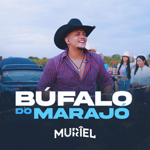 Búfalo Do Marajó - Ao Vivo