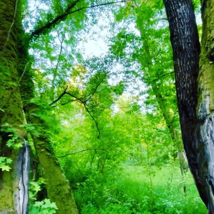 ☘️☘️☘️☘️Huzur🍁🍁🍁