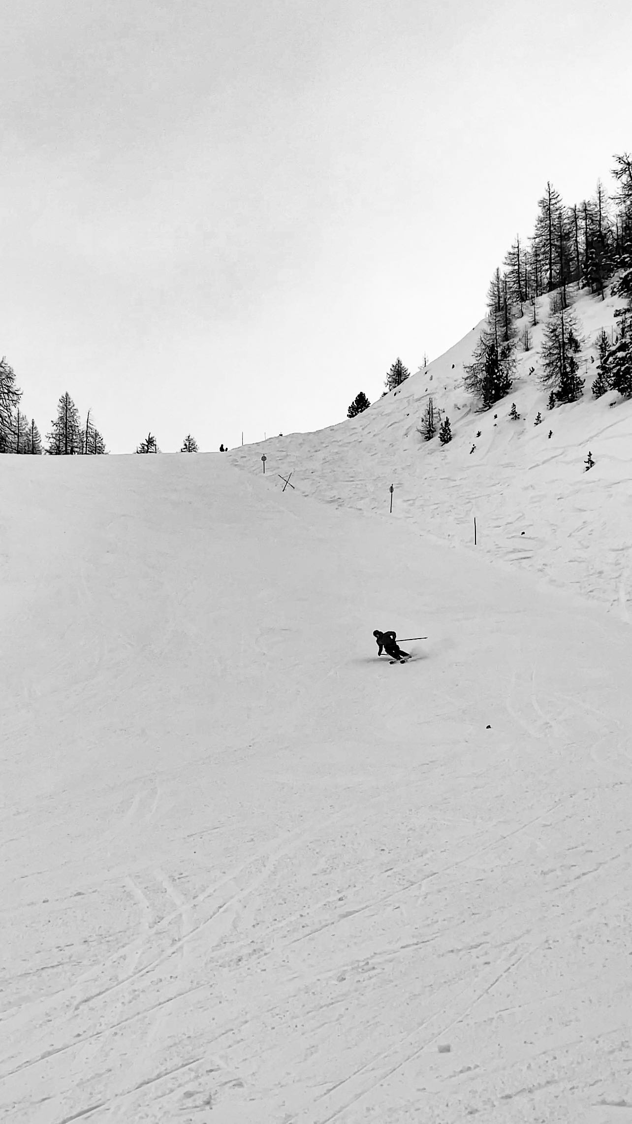 Parce-que la poudreuse c’est tout aussi bien quand c’est damée ! 🤤 ❄️ ⛷
Une belle journée sur les pentes de #Ceillac aujourd’hui, malgré le jour blanc de cette après-midi ! 👌🏻 🏔
Et toi, une nouvelle journée de ski au compteur, ou une nouvelle journée au bureau ? 😉
Dis le moi dans les commentaires ! 👇🏻
•
📸 : @charlinelvgg 🙏🏻
•
@ceillac.05 / @lequeyras 🤌🏻
•
#LeQueyras #QueyrasMontagne #SkiAlpin