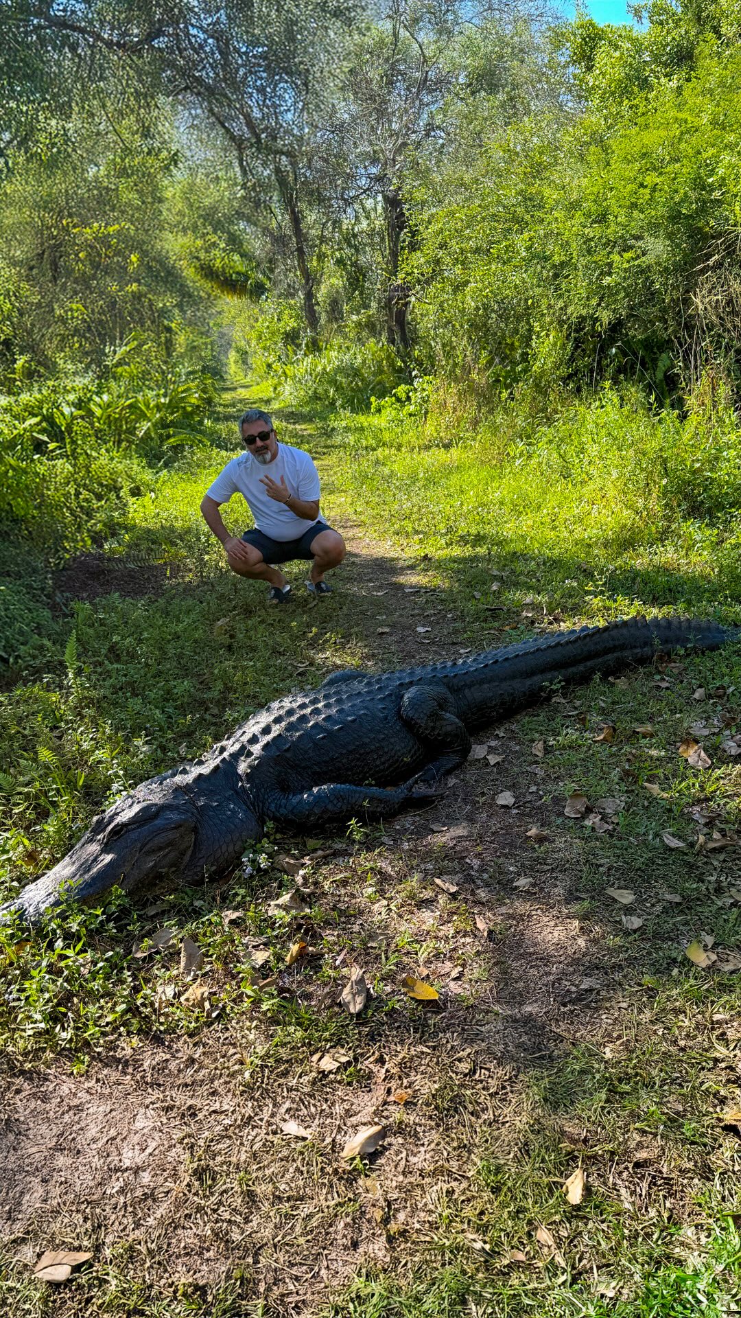 Everglades’e 4. gelişim Bünyamin ile de ikinci gelişim ve bu bataklıkta irili ufaklı yüzün üzerinde timsahla karşılaştım, karşılaştık ama ilk defa en büyüklerinden bir tanesi tam yolumuzun üzerinde bizi bekliyordu! Çok pusuya yatmış bir hali yok daha çok yorgun bir savaşçı gibi zira ağzının bir yanında, sırtında ve karın bölgesinde ısırık izleri var belli ki büyük bir kavgadan çıkmış. Uzun bir süre o bizi biz onu izledik biz korktuğumuz çok belli etmesekte biraz tedirginlik var tabii. Yaklaşık 5-6 dakikalık bekleyişin sonunda bizde büyük bir hayranlık bırakarak kendi ait olduğu sulara geri döndü. #everglades #swamp @bunyaminsurmeli 🐊