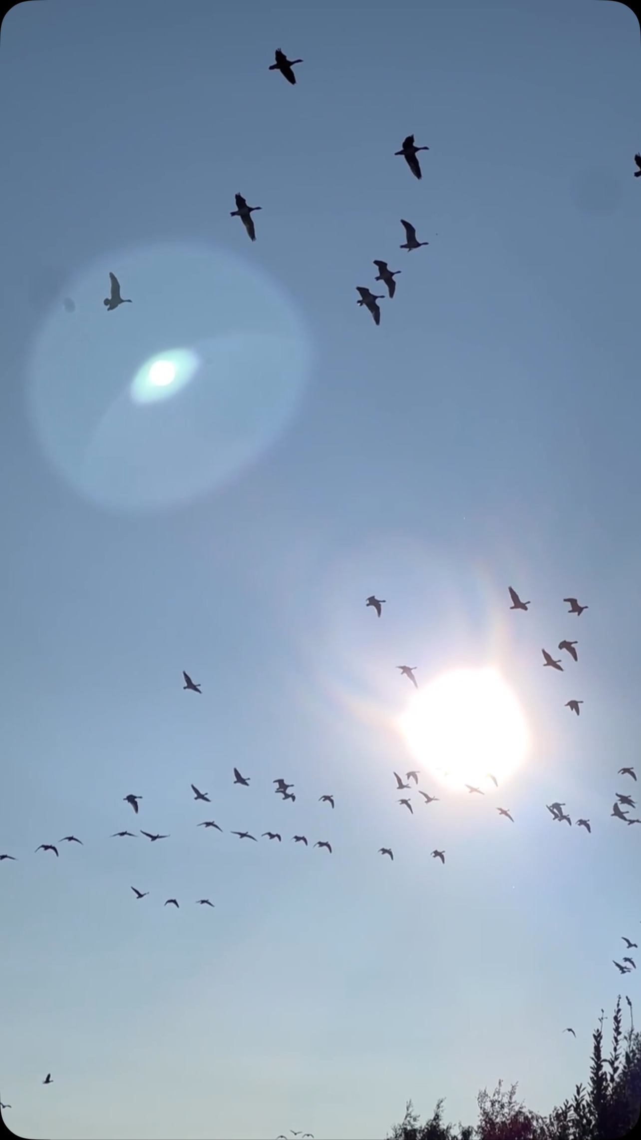 Kesää odotellessa 🙏 Tänään oli pk-seudulla jo +18, aika jees 🔥