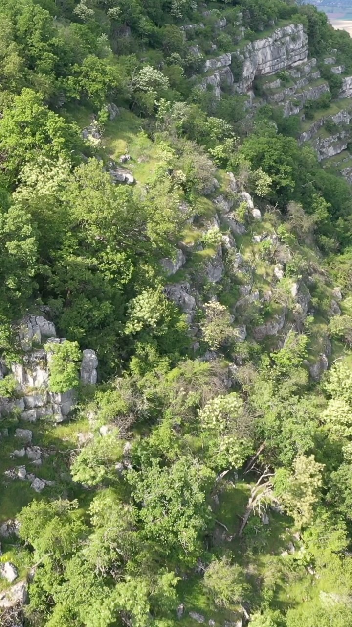 ▪️Pes-kő cave - Vértestolna
•
•
•
•
•
#peskőbarlang #vértestolna #természet #nature #springishere #woodside #dronestagram #dronevideography