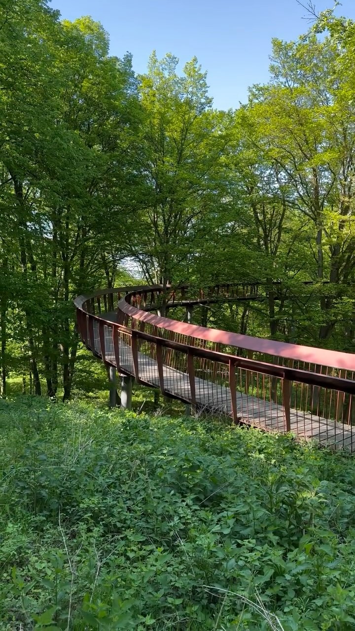 ▪️Tardosi Lombkorona Tanösvény
•
•
•
•
•
#tardosilombkoronatanösvény #tardos #tanösvények #hungary #természet #nature #springtime #forests #iphonevideo