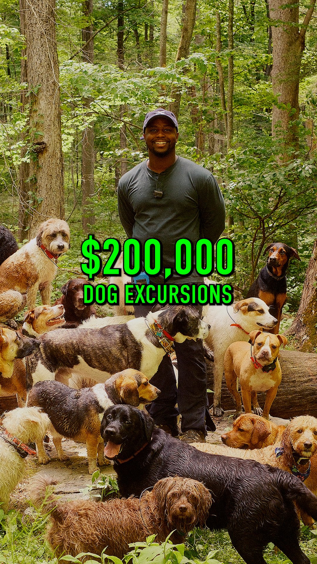 POV: You make $200,000 a year bringing dogs on off-leash excursions from NYC. 🐕🌲 Five days a week @barkandburn loads up a van, leaves the city behind, and takes a pack of pups on off-leash adventures in nature. No concrete. No leashes. Just freedom and letting dogs be dogs again.

#dogsofinstagram #dogstagram #dogsofnyc #dogslife #puppy