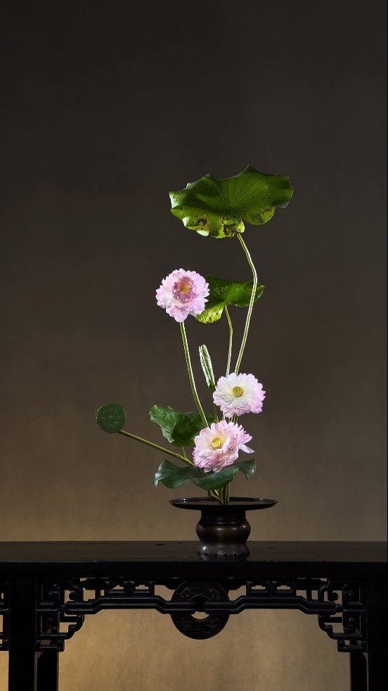 三朵重瓣荷花与五片荷叶中式插花教程＃远征教插花 ＃中式插花 ＃器物美学 ＃好看的花一定要分享给你 ＃沉浸式插花
