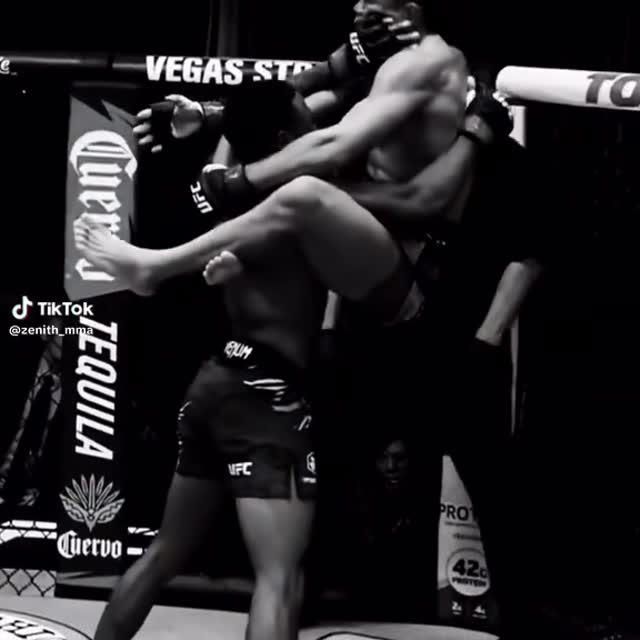 Yooooo @shakurdabag02 got that wolf in him too 🐺