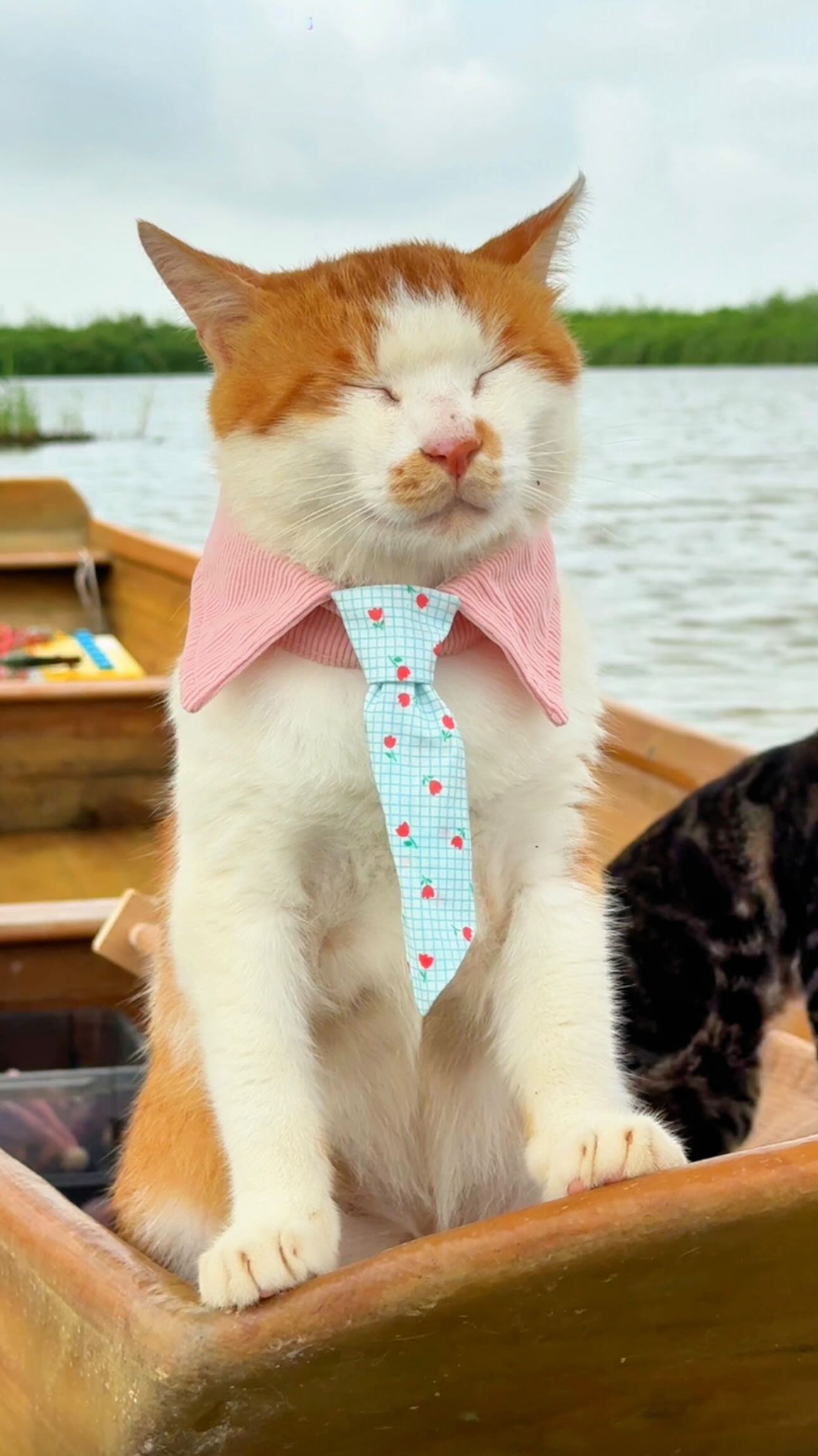 My ‘’crew members‘’ have been a bit undisciplined recently, either being lazy or dozing off