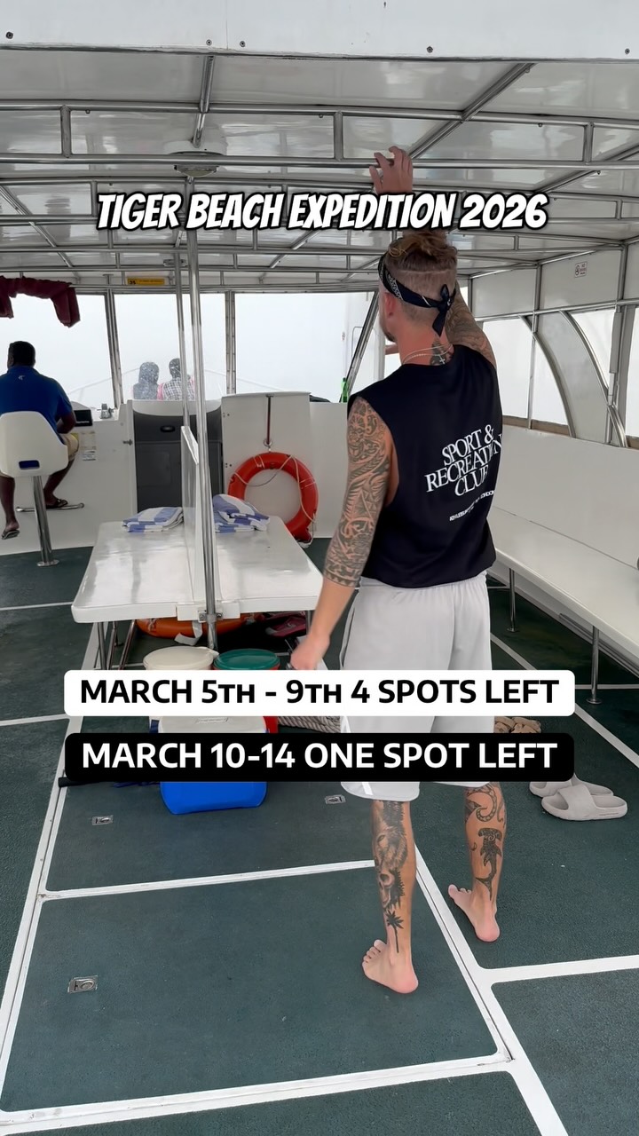 Tiger beach expedition 2026
Scuba with tiger, bull, lemon, carribean reef and of course the grouper 🙄
Open water certified at the very least I prefer if you have 25+ dives
2 expeditions filling fast. I will be your guide a long with Deb and vin 🦈
Send me a dm or tap the link on my page
#scubdiving #sharkdiving #dive #tigerbeach