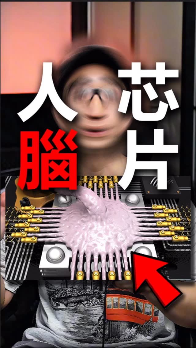 用人類大腦做的計算機