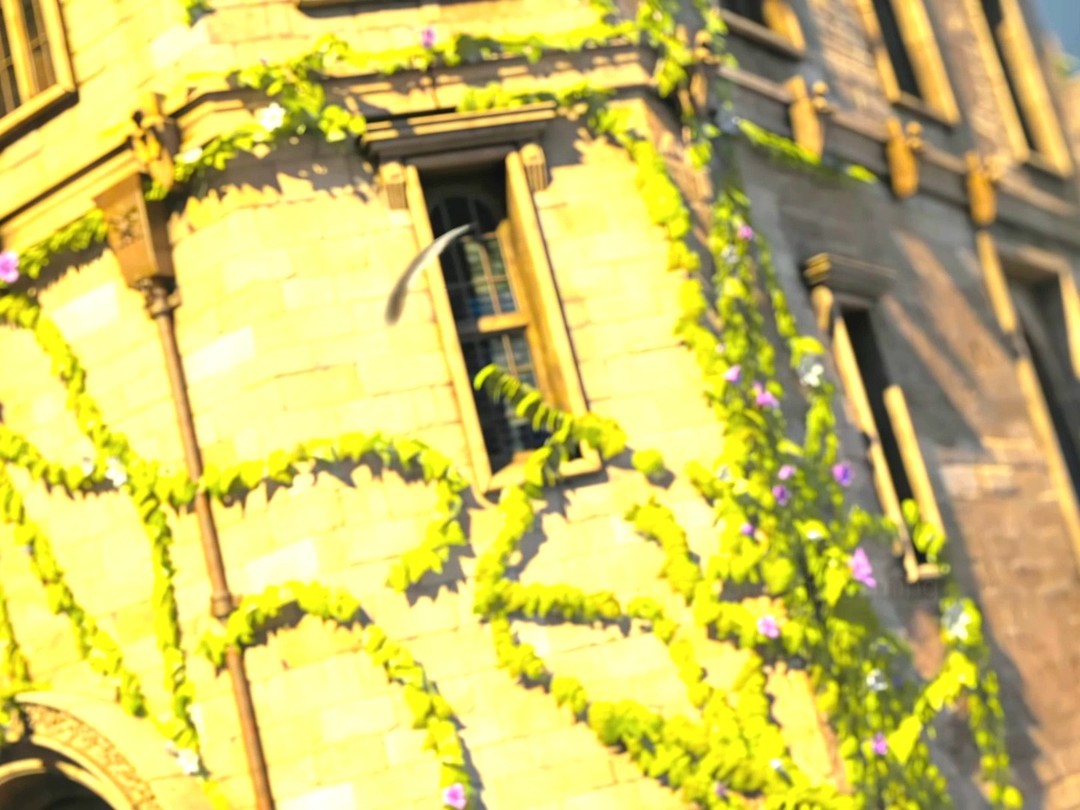 Racing with chickens: it’s cluckin’ awesome! 🐔🏁