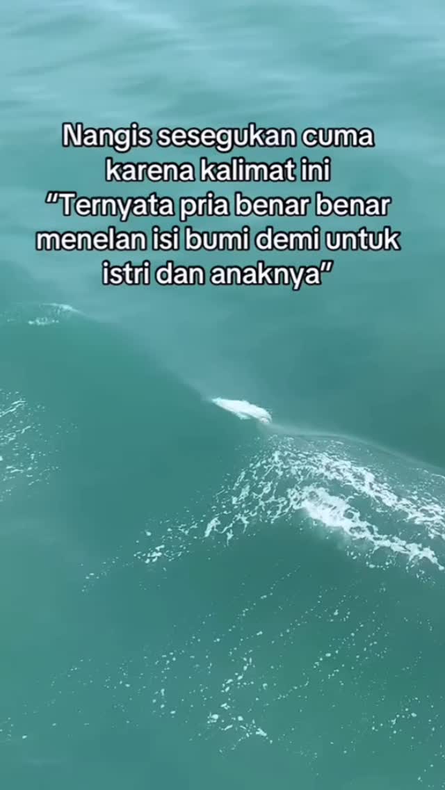 Sehat terus pak suami😍

Cr: TT imeldawibowo4

LIKE dan SHARE Ke Teman & Keluarga Bunda ✅

Follow 👉 @metode_parenting
Follow 👉 @metode_parenting

#ilmuparenting #tipsmendidikanak #tipsanak #parentingislam #belajarparenting #tipsparenting #parentingislami #infoparenting #psikologianak #komunitasparenting #caramendidikanak #tipsparentinganak #parentinganak