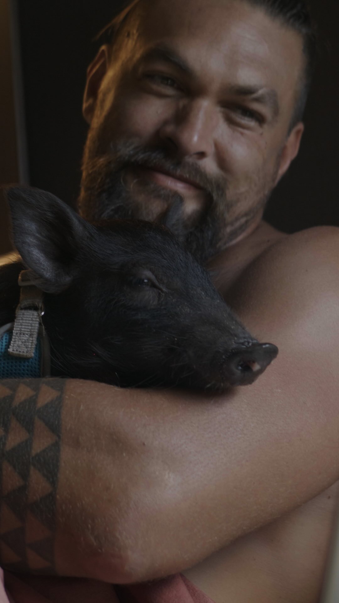 Watch it together.

Chief Of War — New Episode Now Streaming

#ChiefOfWar #JasonMomoa #AppleTV #AppleTVPlus