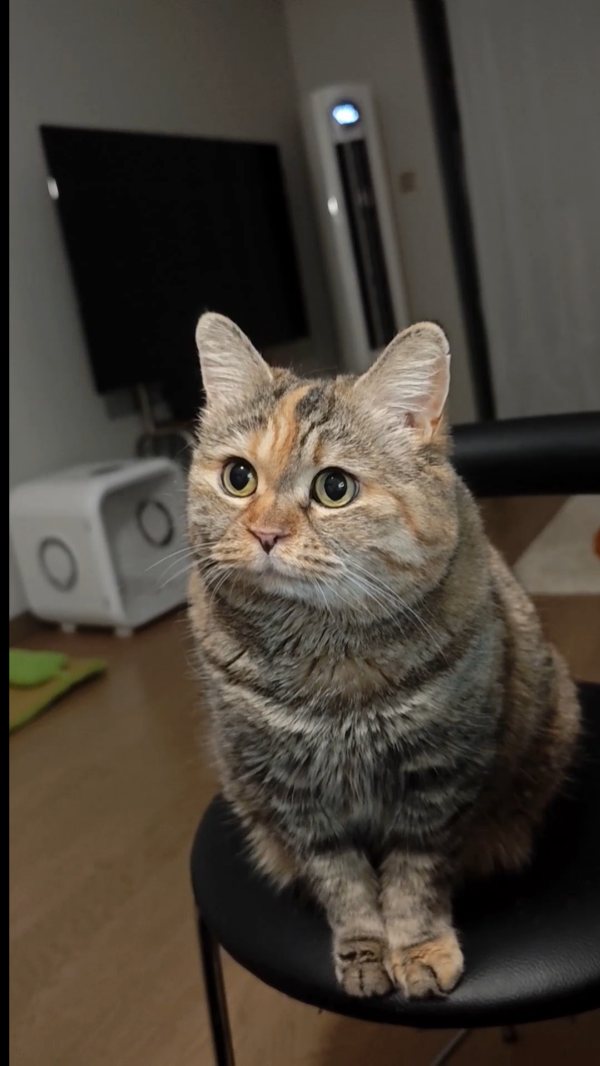 So this is what they call a little foodie.