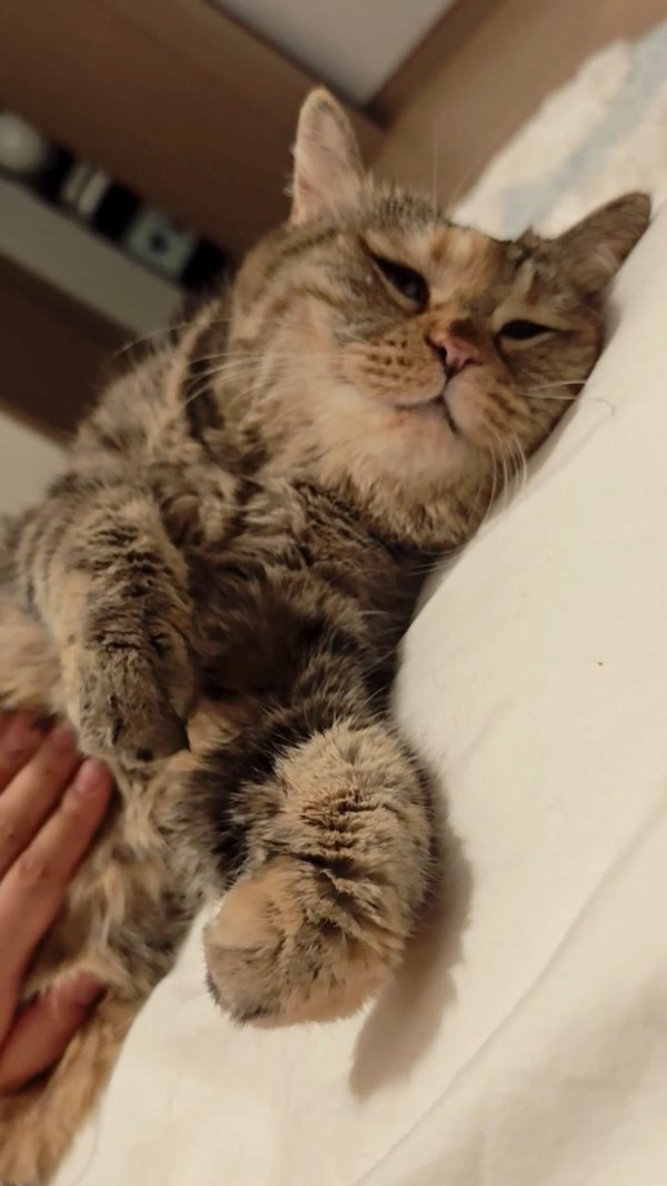 Mom is lulling me to sleep.