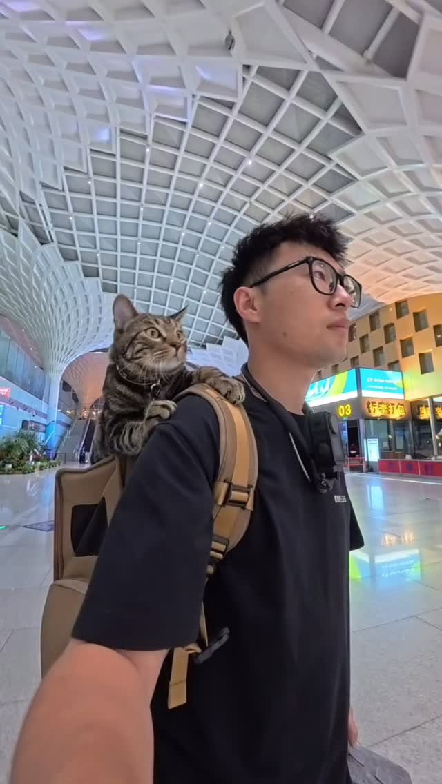 Traveling around the world with a cat,Hulunbuir, China,(1)带猫环游世界,中国呼伦贝尔(1)