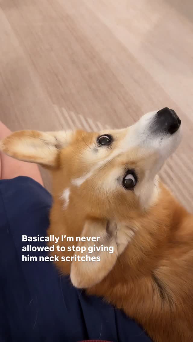 And I’m ok with that. 🫡 

Geordi deserves it because he’s the bestest boy! 🥺💛