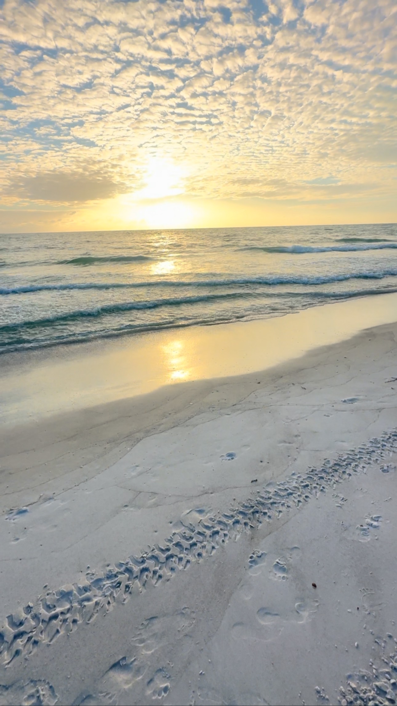 “ but where sin increased, Grace increased all the more”
Romans 5:20

📍Longboat Key, FL USA
•
•
•
•
•
•
#byhisgrace 
#jesus 
#swfl 
#beachlife 
#thankyoujesus 
#florida 
#lbk #srq 
#sarasota 
#longboatkey 
#saturdayvibes