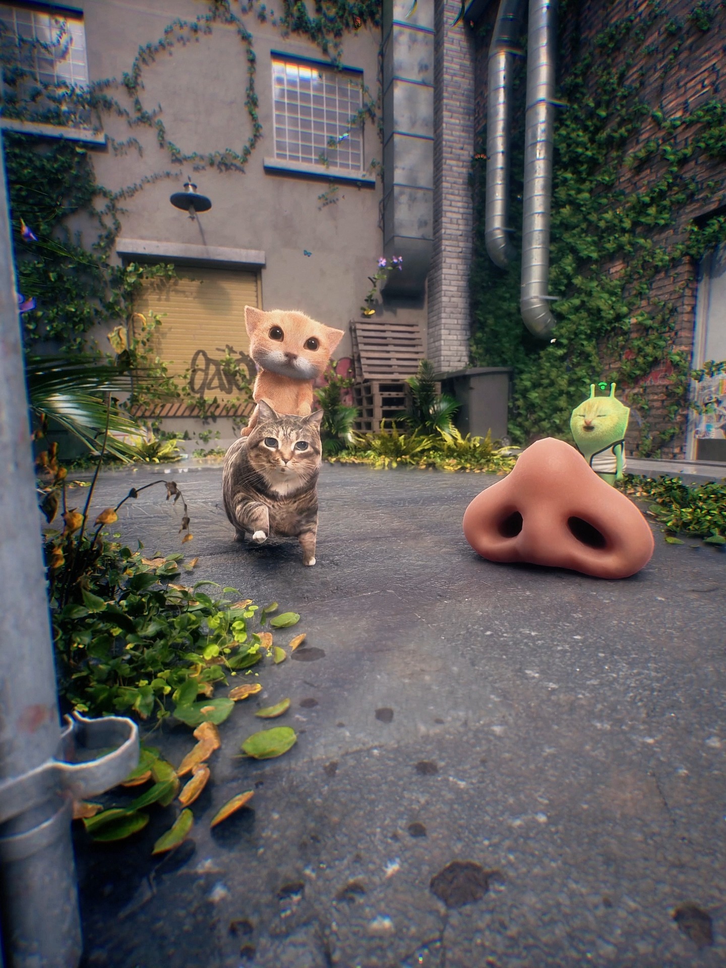 Oriole in the post #funny #memes