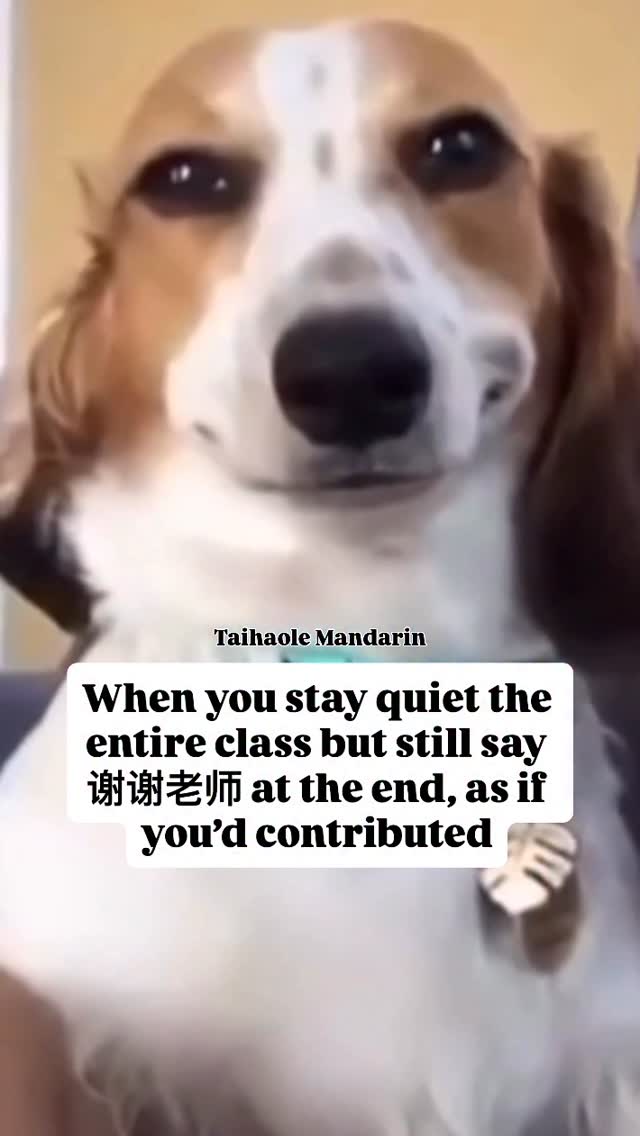 This is your sign from the universe to start learning Chinese. 

Check out my new ebook, link in bio💎

#chinese #mandarin #learnchinese #HSK #learnmandarin #chineselearning #chineselanguage #汉语 #中文 #china