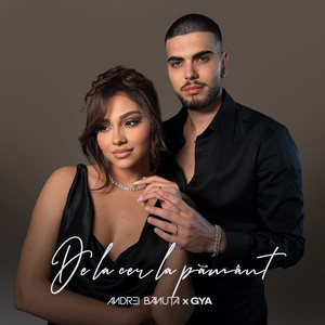 De la cer la pământ