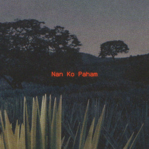 Nan Ko Paham