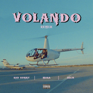 Volando - Remix