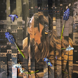 beholder mit tøj på