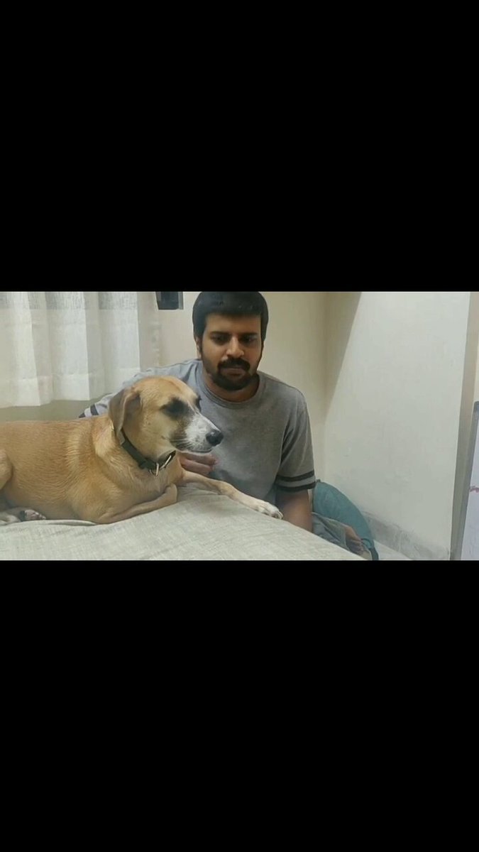 Who's Best 😊🐕

#tuesday #dog #dogs #animal #animals #love #trending #Viral #life #lives #puppy #straykids #ADOPTDONTSHOP #puppies #rescue #BeKindAlways #pet #pets #smile #happy #fun #funny #comedy #reel #Videos #feedthehungry #tamil #cute #tirupur #motivation #Inspiration https://t.co/UcO5tttZ02