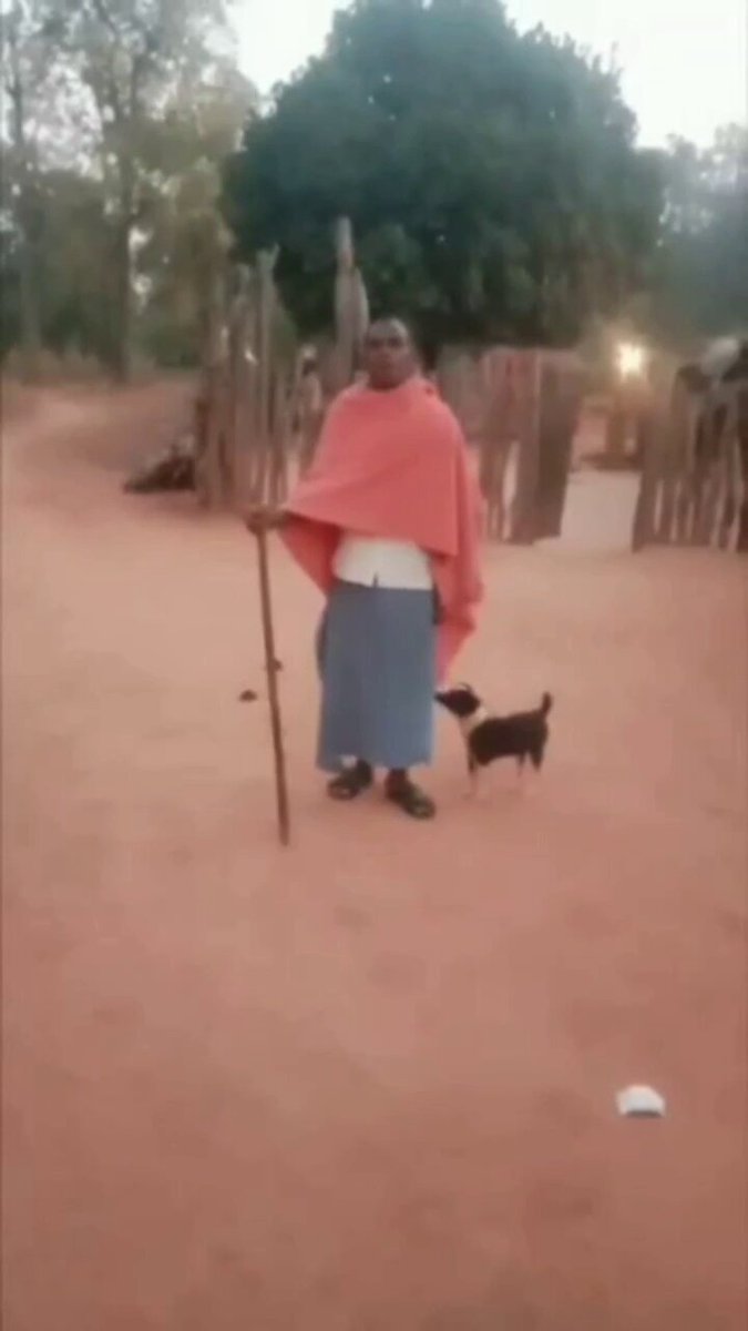 Cute Co-announcer 😊🐕
#thursday #dogs #animals #love #trending #Viral #lives #puppy #straykids #ADOPTDONTSHOP #puppies #rescue #BeKindAlways #pet #pets #smile #happy #fun #funny #comedy #reel #Videos #feedthehungry #tamil #cute #tirupur #motivation #Inspiration #compassion https://t.co/zNh4Z6QILS