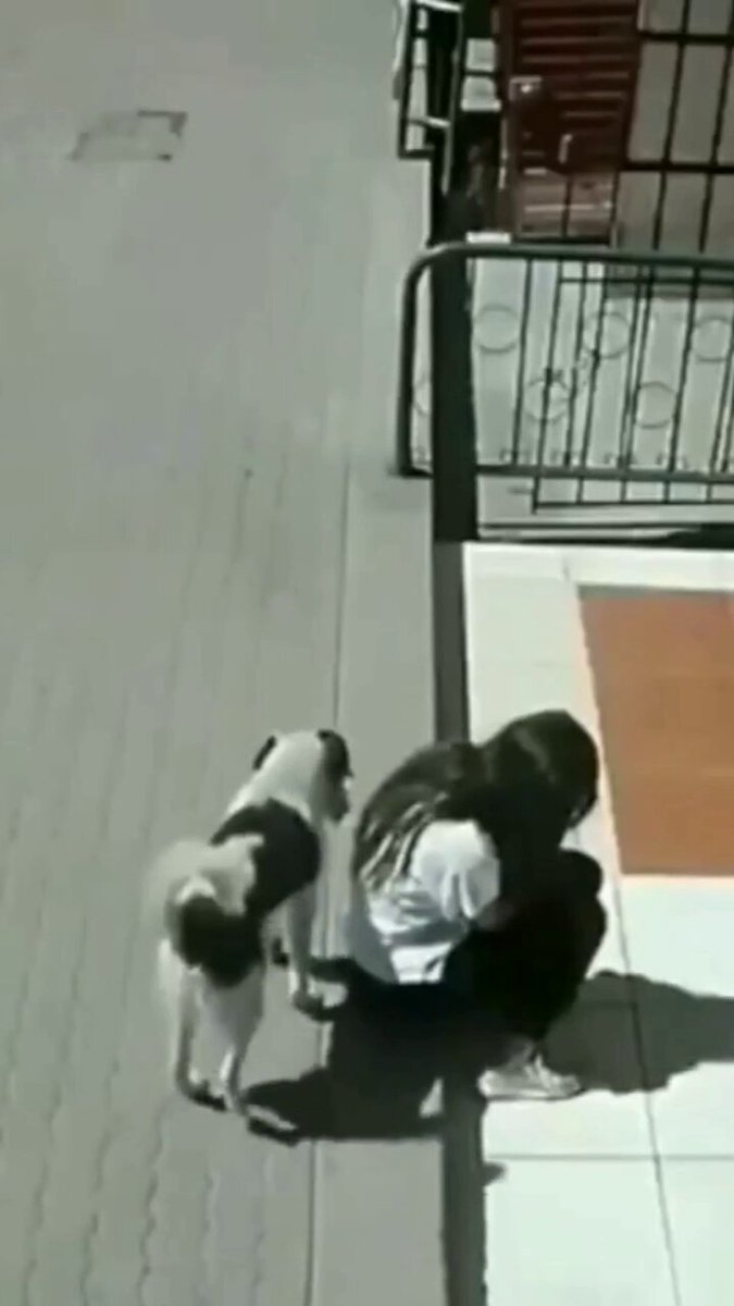 Naughty Boy 😊🐕

#friday #dog #dogs #animal #animals #love #trending m #lives #puppy #straykids #ADOPTDONTSHOP #puppies #rescue #BeKindAlways #pet #pets #smile #happy #fun #funny #comedy #reel #Videos #feedthehungry #tamil #cute #tirupur #motivation #Inspiration #compassion https://t.co/bwRuG0B3WT