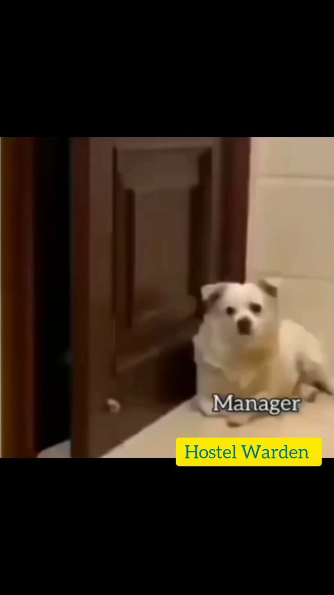 Going hostel after late night party 😊🐕
#saturday #dogs #animals #love #trending #lives #puppy #straykids #ADOPTDONTSHOP #puppies #rescue #BeKindAlways #pets #smile #happy #funny #comedy #reel #Videos #feedthehungry #tamil #cute #tirupur #motivation #Inspiration #compassion https://t.co/99ZR9Loy6u