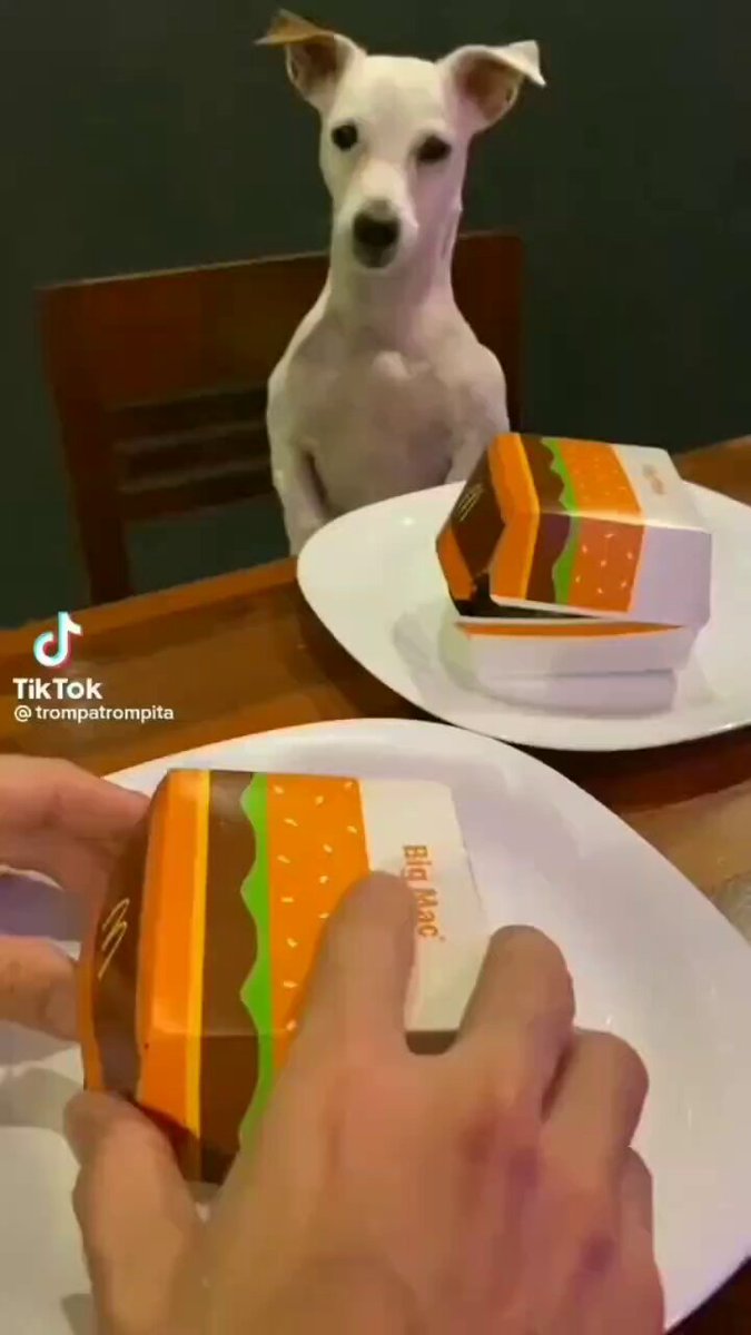 Scammed 😊🐕

#tuesday #dog #dogs #animal #animals #love #trending #life #lives #puppy #straykids #ADOPTDONTSHOP #puppies #rescue #BeKindAlways #pet #pets #smile #happy #fun #funny #comedy #reel #Videos #feedthehungry #bekind #compassion #motivation #Inspiration #tamil #tirupur https://t.co/1QUzh3BwPL