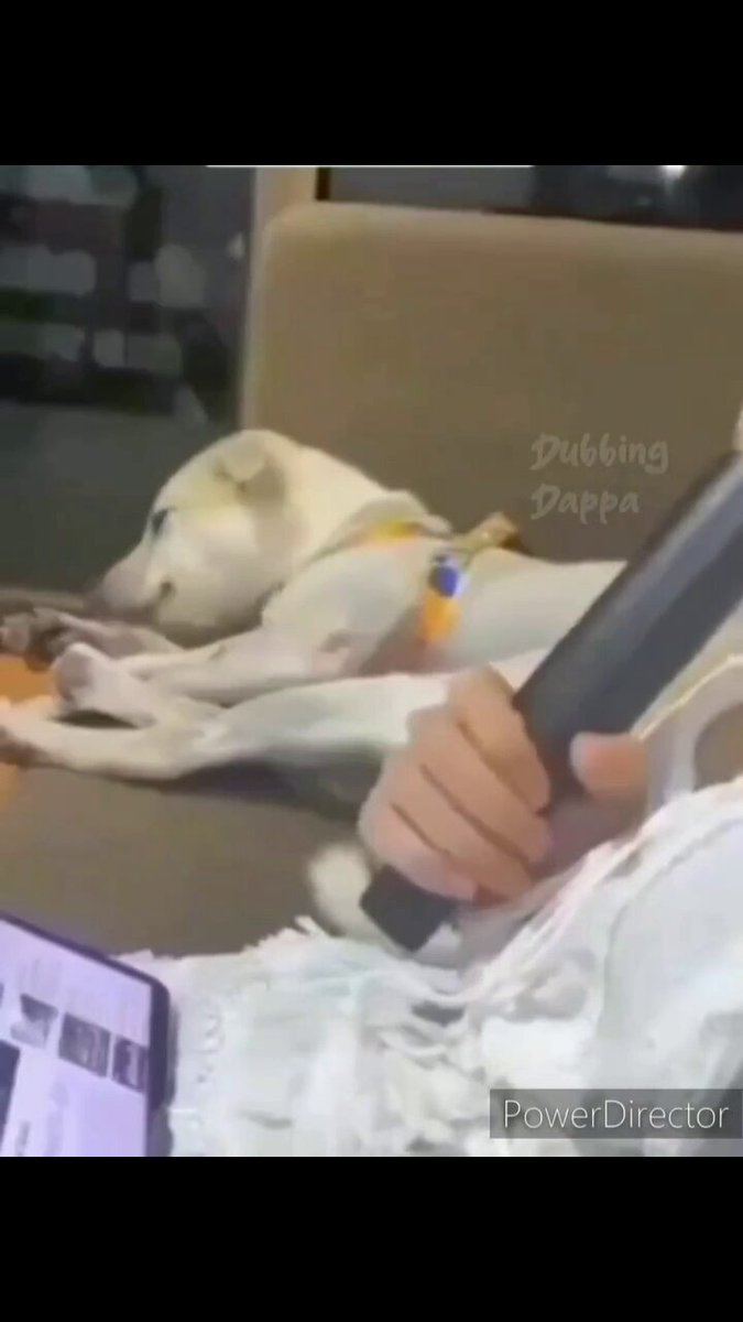 My singing 😊🐕

#dog #dogs #animal #animals #love #trending #Viral #lives #puppy #straykids #ADOPTDONTSHOP #puppies #rescue #BeKindAlways #pet #pets #smile #happy #fun #funny #comedy #reel #Videos #feedthehungry #bekind #compassion #motivation #Inspiration #tamil #tirupur https://t.co/uPuTsArOfP