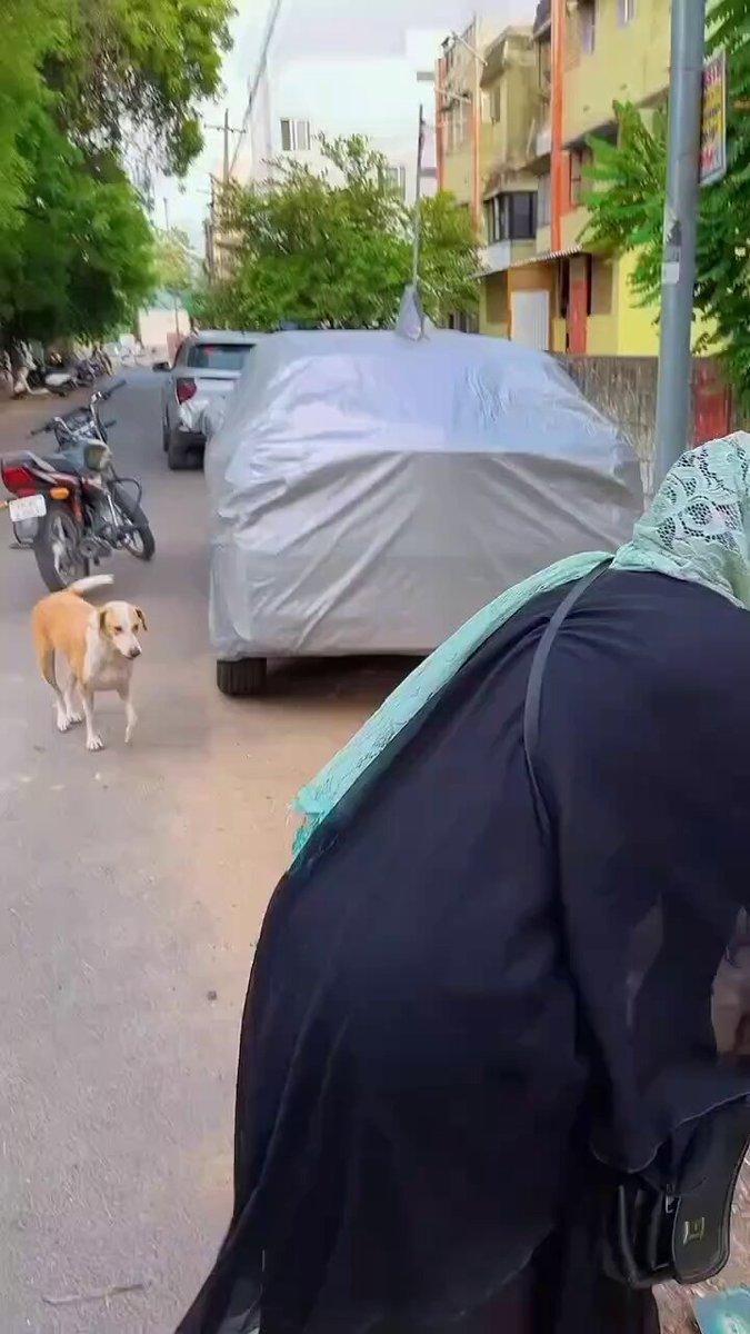 Emotional Damage 😊🐕
#saturday #dog #dogs #animal #animals #love #trending #lives #puppy #straykids #ADOPTDONTSHOP #puppies #rescue #BeKindAlways #pet #pets #feedthehungry #bekind #compassion #motivation #Inspiration #tamil #tirupur #cute #fun #funny #comedy #reel #Videos https://t.co/6cqxthoWrH