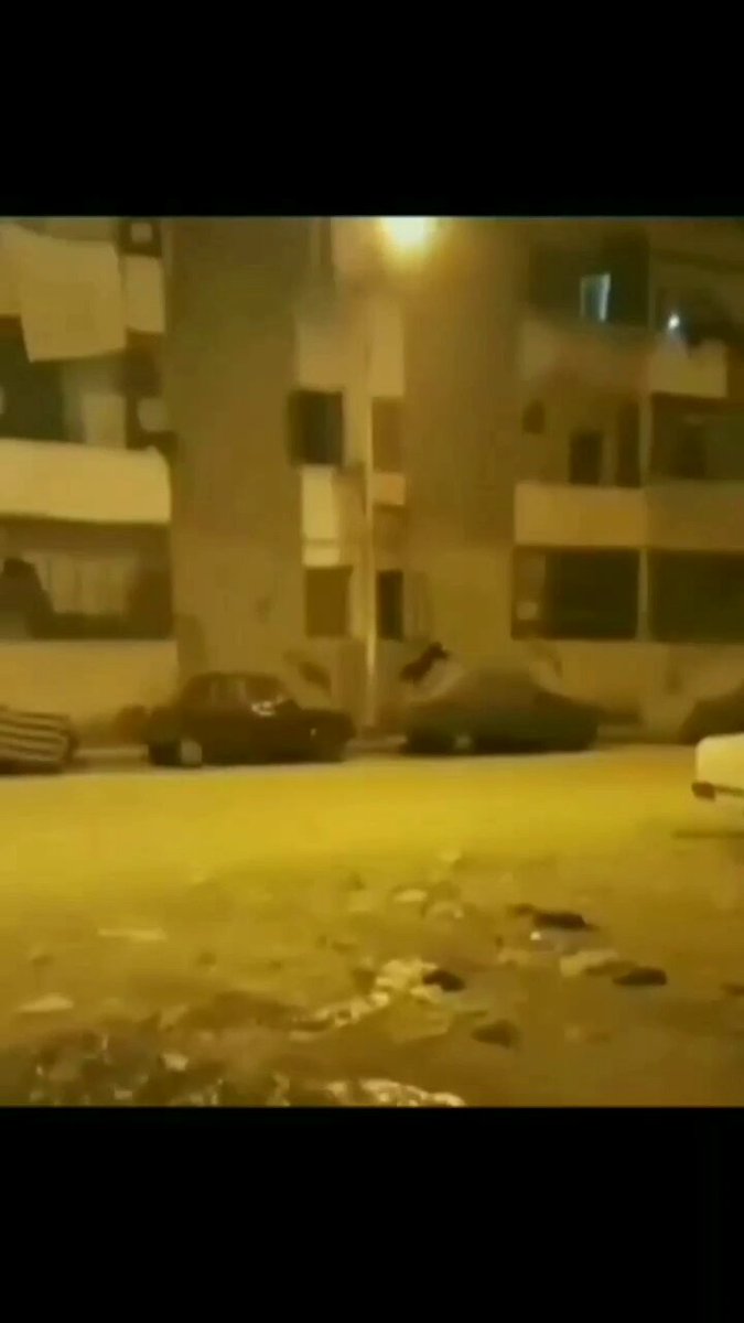 Paw Olympics 🐕😊
#Sunday #sundayvibes #dog #dogs #animal #animals #love #trending #Viral #Twitter #life #lives #puppy #straykids #ADOPTDONTSHOP #puppies #rescue #BeKindAlways #pet #pets #smile #happy #fun #funny #comedy #reel #Videos #feedthehungry #tamil #cute #tirupur https://t.co/BBFZ46VAcL