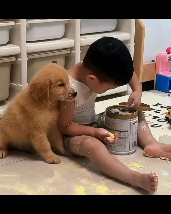 Partners in Crime 😊🐕

#Monday #dog #dogs #animal #animals #love #trending #puppy #straykids #ADOPTDONTSHOP #puppies #rescue #BeKindAlways #pet #pets #rescue #feedthehungry #bekind #compassion #motivation #Inspiration #tamil #tirupur #cute #fun #funny #comedy #reel #Videos https://t.co/pxhs9r0vIA