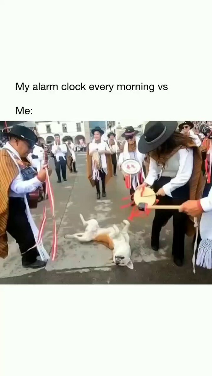 Every Morning 😊🐕

#Monday #dog #dogs #animal #animals #love #trending #Viral #life #lives #puppy #straykids #ADOPTDONTSHOP #puppies #rescue #BeKindAlways #pet #pets #smile #happy #fun #funny #comedy #reel #Videos #feedthehungry #bekind #compassion #motivation #Inspiration https://t.co/2J0xkf9uhM